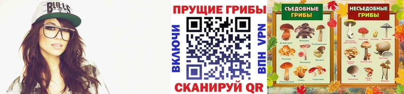 наркошоп  Новоульяновск  Галлюциногенные грибы ЛСД 